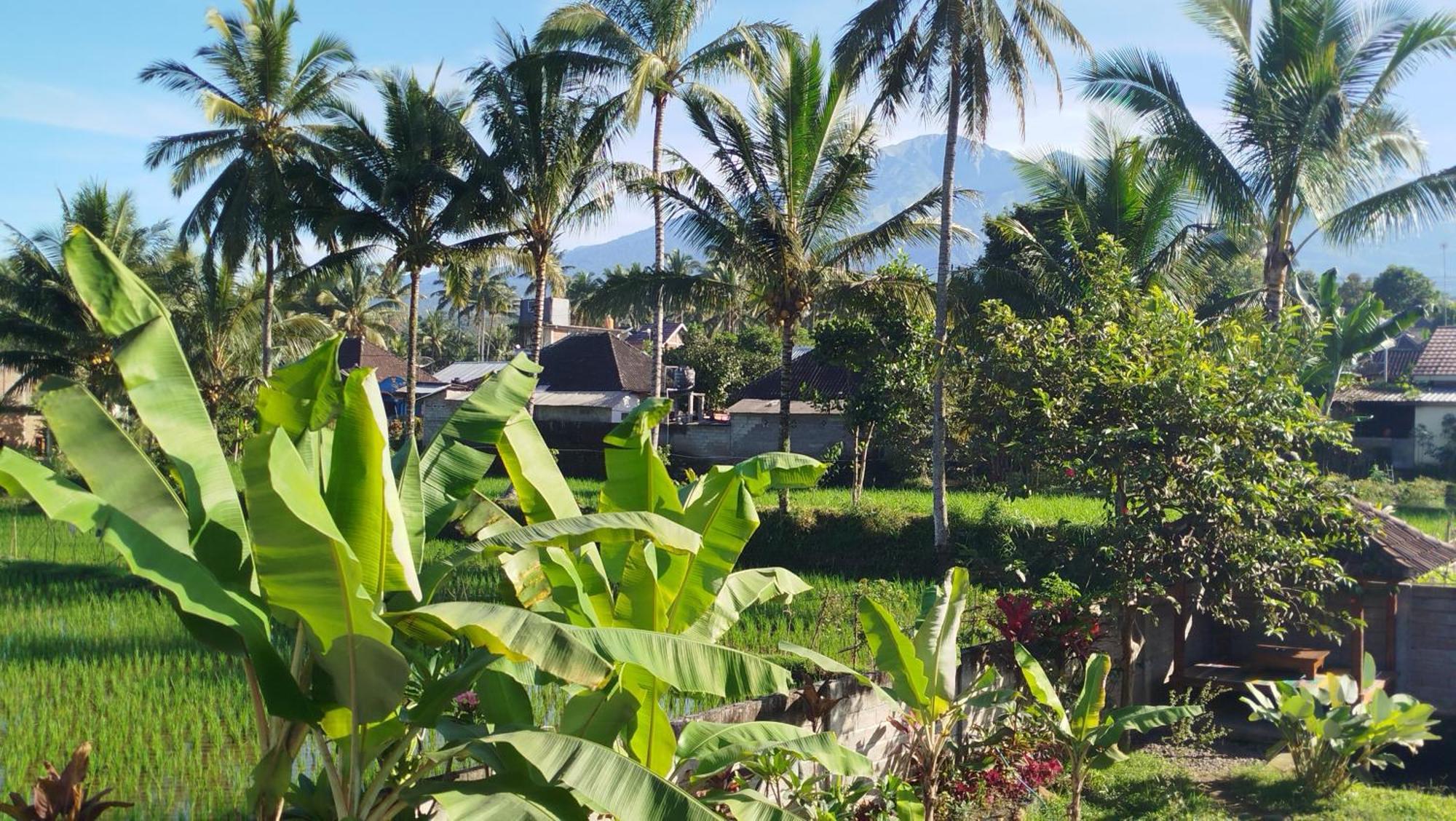 Arista Homestay Tetebatu Esterno foto