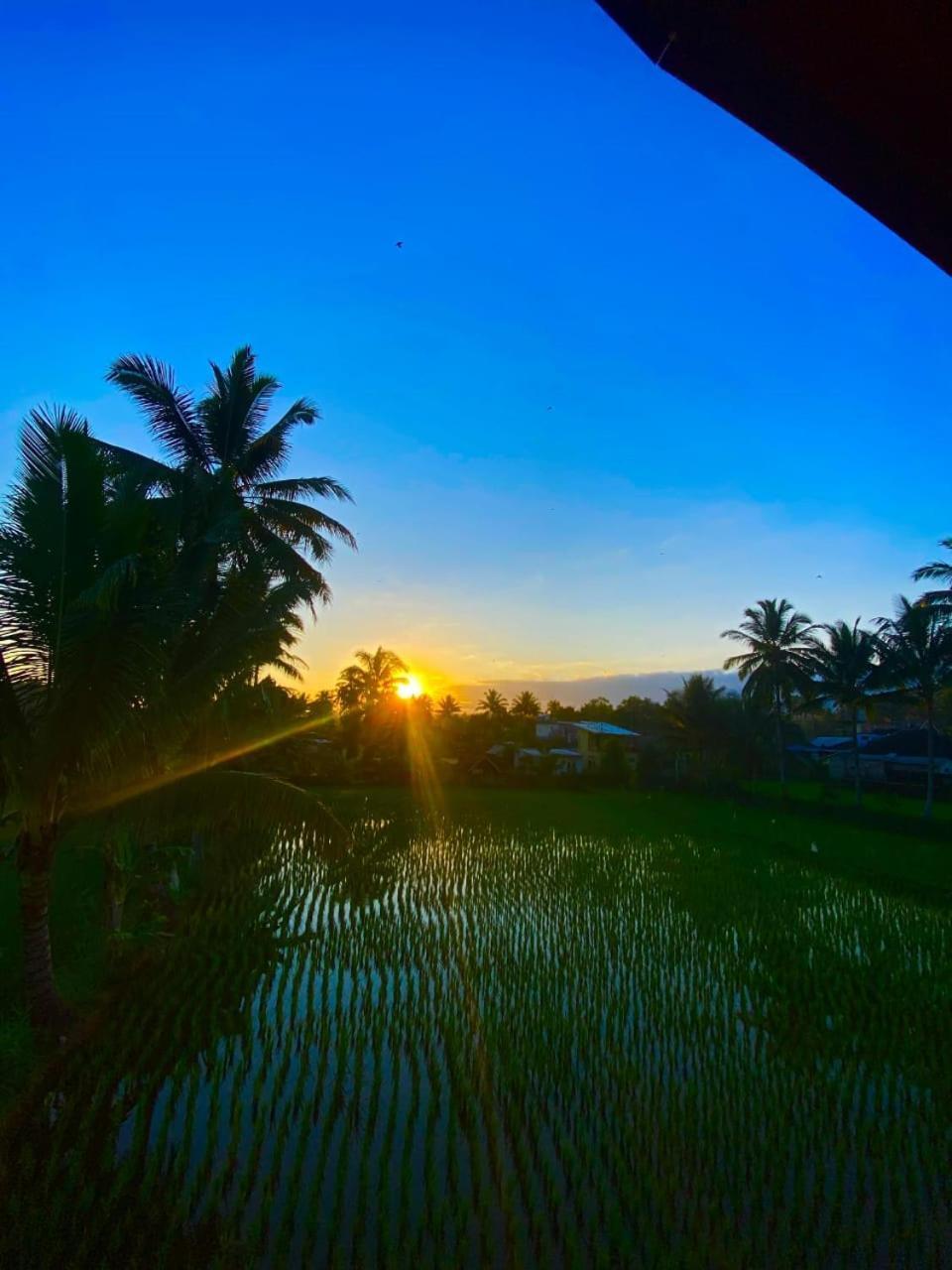 Arista Homestay Tetebatu Esterno foto